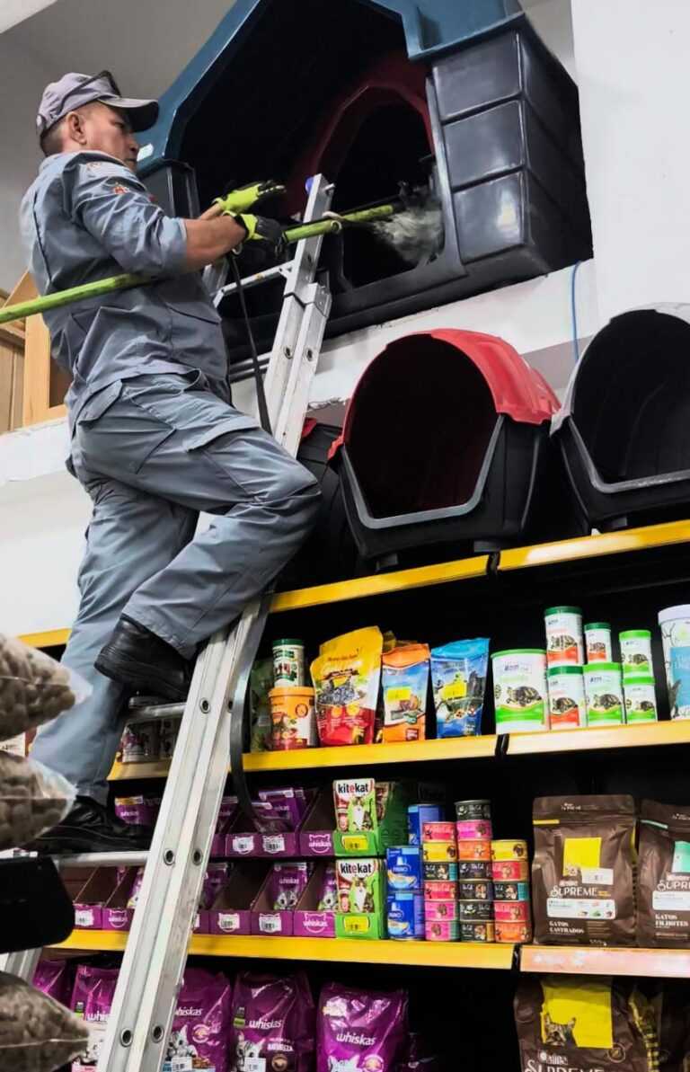 sarue-visita-casa-de-racoes-e-e-resgatado-em-ubatuba