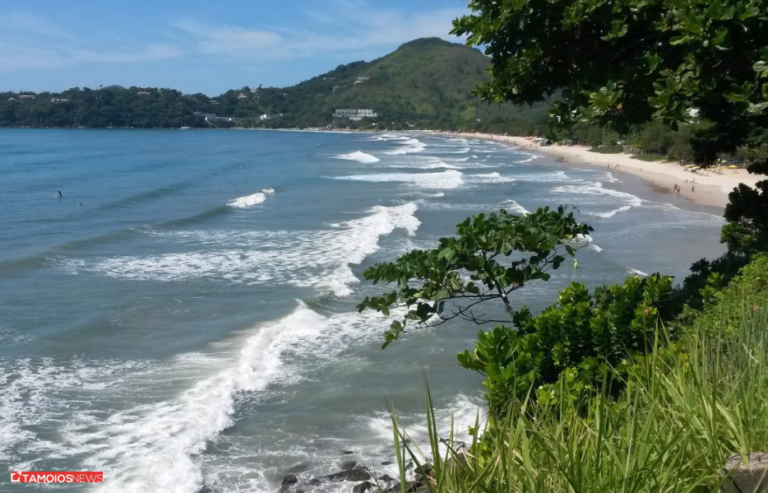 Corpo de turista é avistado próximo a praia das Toninhas em Ubatuba corpo-de-turista-e-encontrado-proximo-a-praia-das-toninhas-em-ubatuba