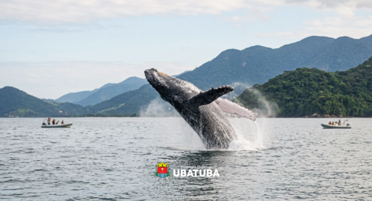 ubatuba-institui-programa-ubatuba-azul-–-avistamento-consciente