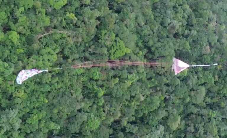 Balão cai em área de mata fechada na área sul de Ubatuba balao-cai-em-area-de-mata-fechada-na-regiao-sul-de-ubatuba