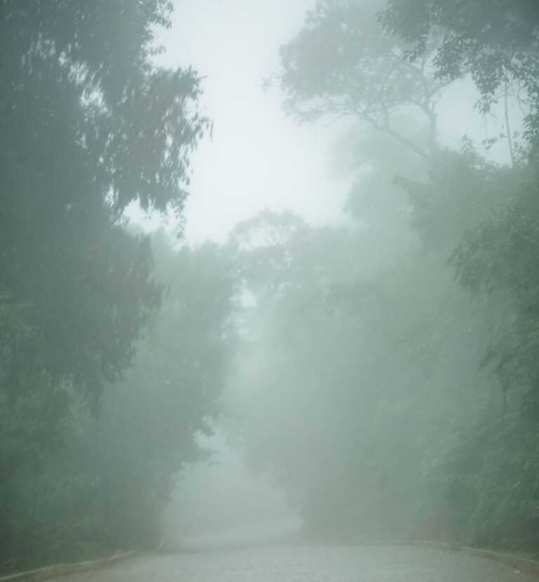 poste-cai-em-carro-durante-a-chuva-em-caraguatatuba;-litoral-esta-em-alerta-maximo
